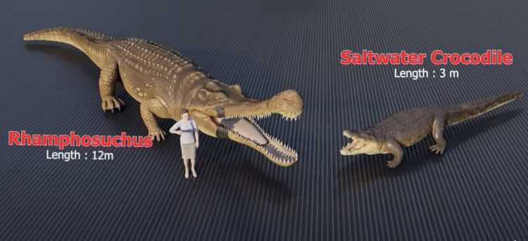 animation showing size comparison of crocodile and extinct ancestor