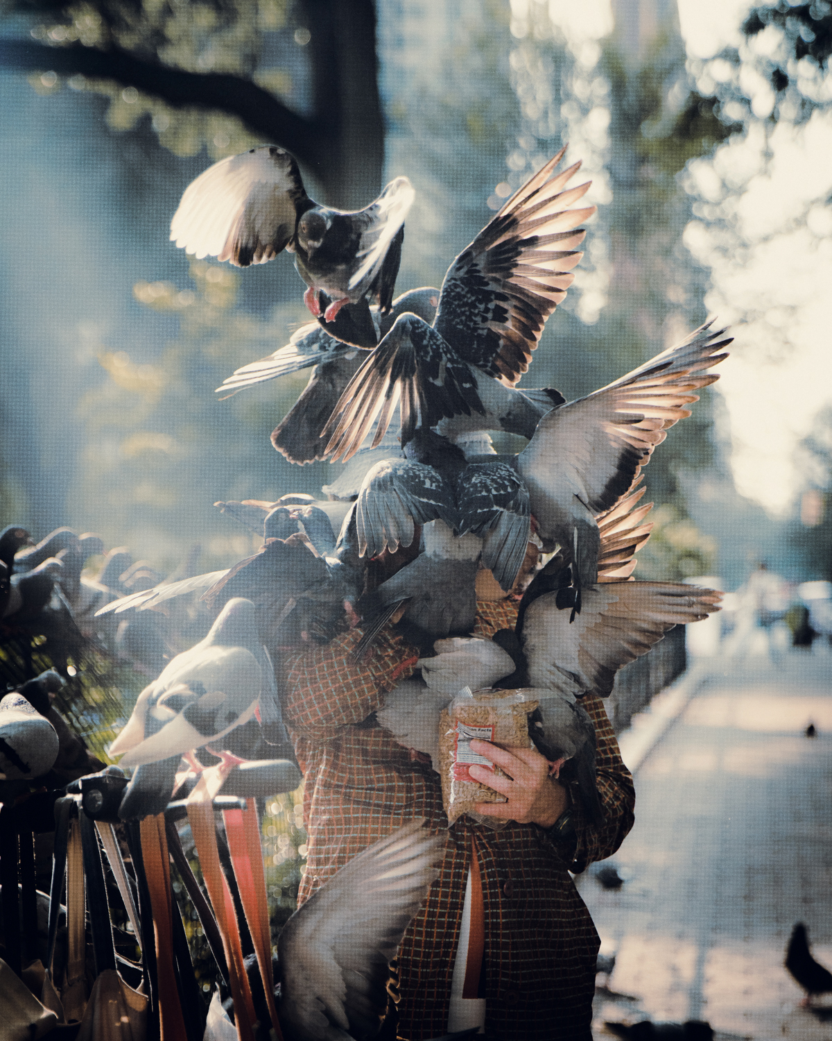 Man Covered in Pigeons by Billy Dinh