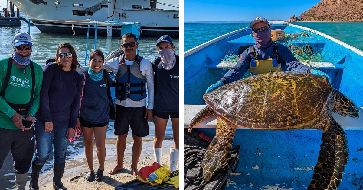 This Family Quit Fishing and Created a Turtle Conservation Group