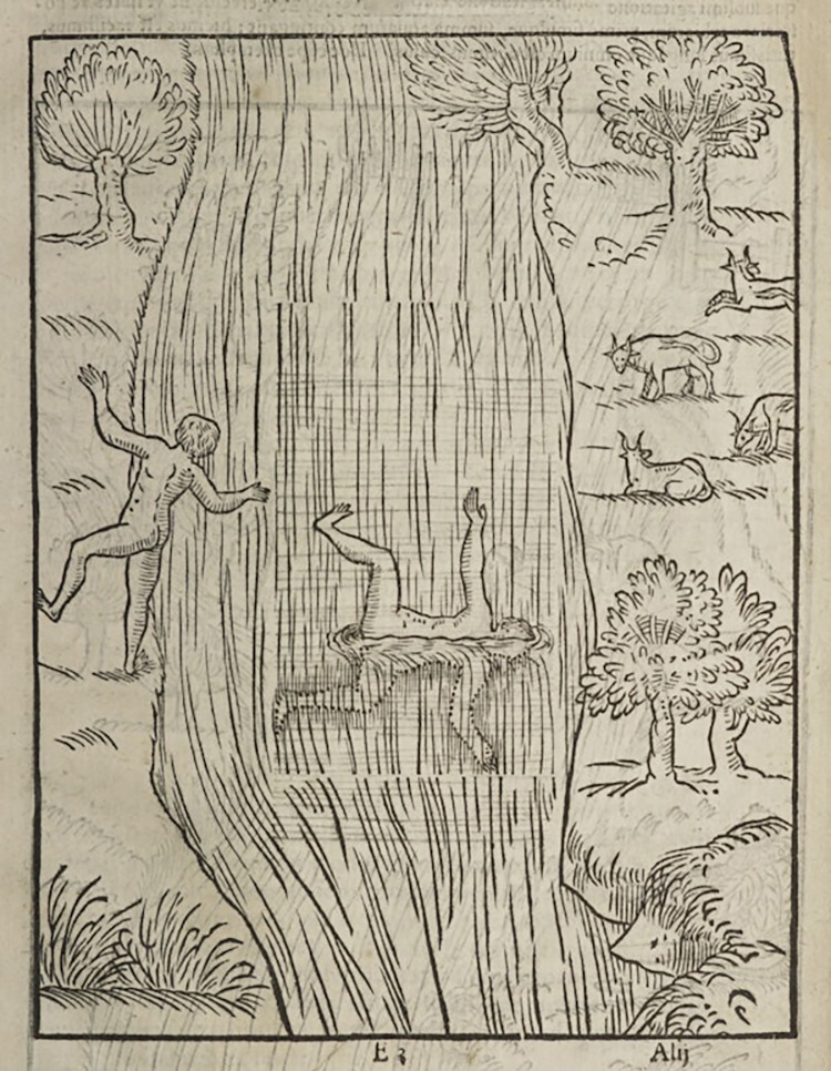 Explore this 16th Century Swimming Manual, "The Art of Swimming"