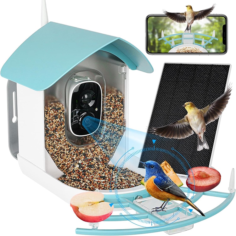 bird feeder with camera