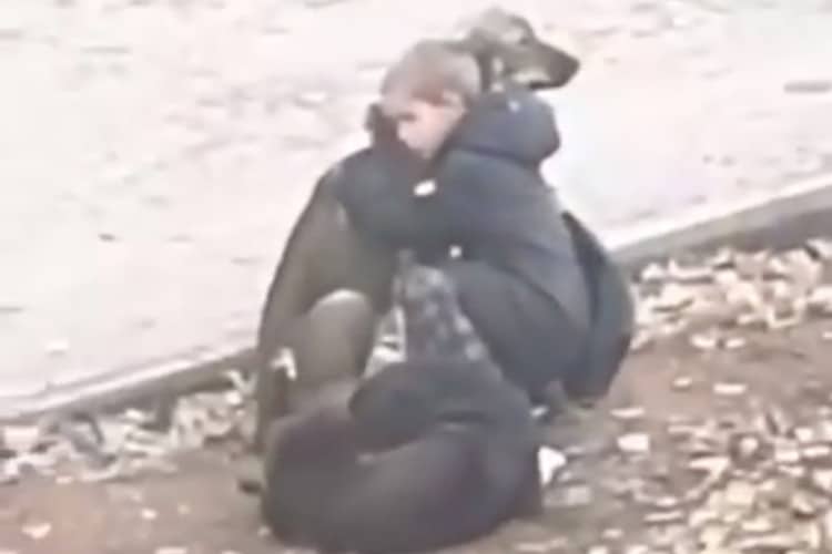 Screenshots of video showing a boy hugging a dog on the street