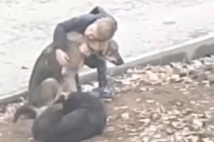 Screenshots of video showing a boy hugging a dog on the street