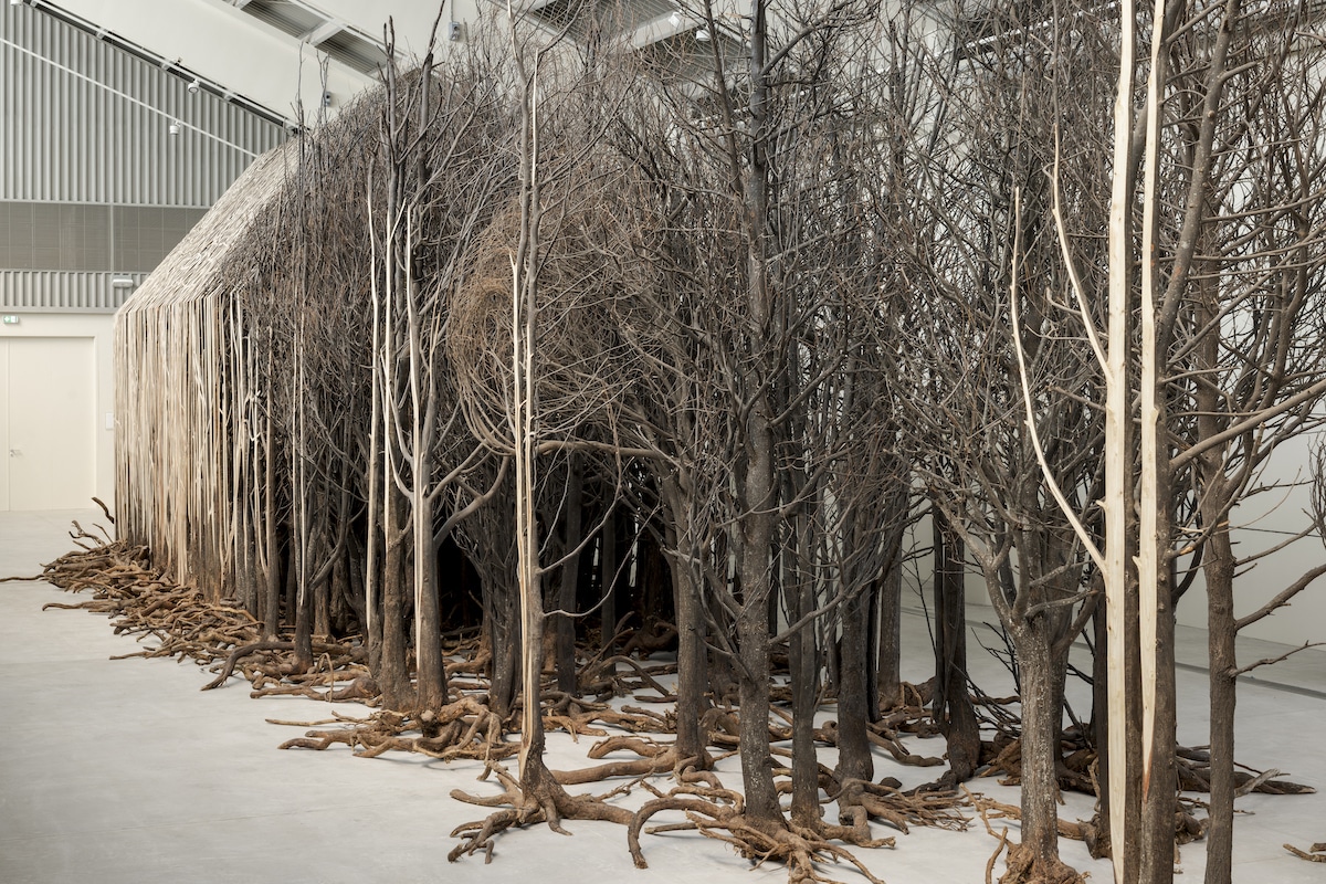 Uprooted by Doris Salcedo