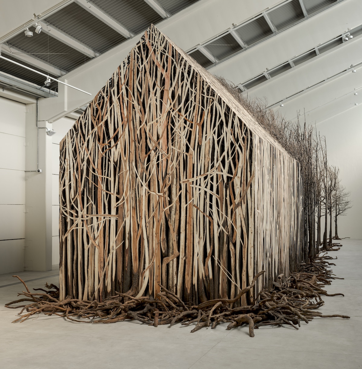 Uprooted by Doris Salcedo