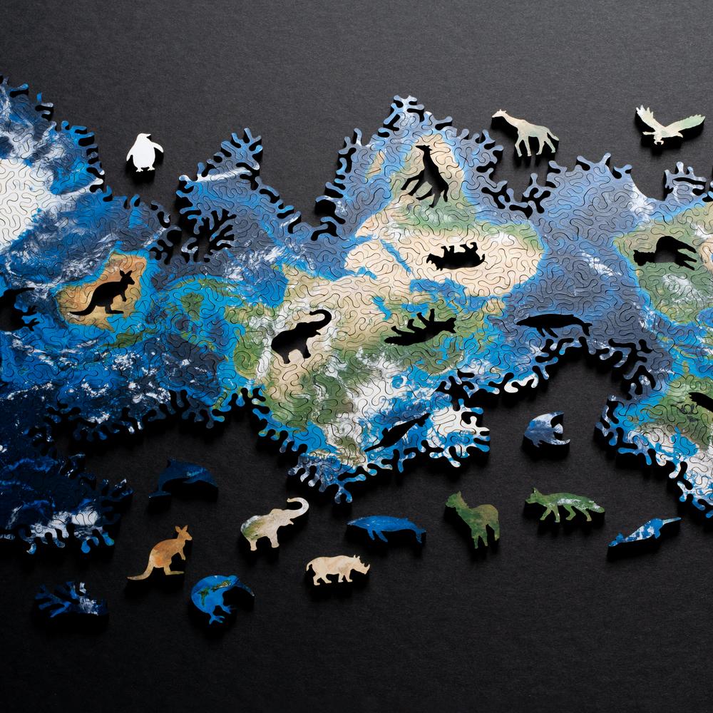 Earth Puzzle