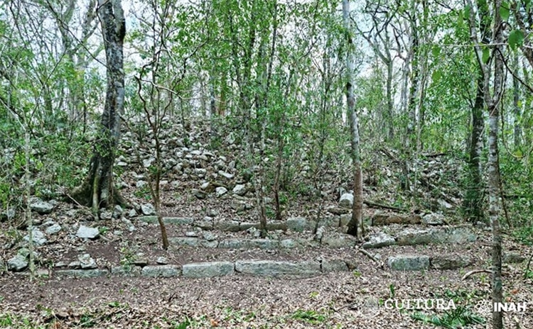 Mayan City Discovered Under Jungle Forests