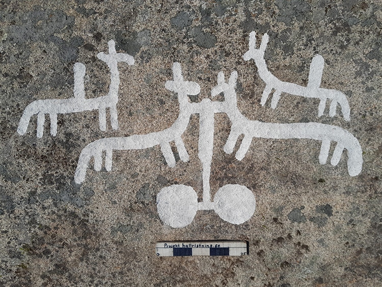 Ancient Swedish Petroglyphs Discovered Under Moss