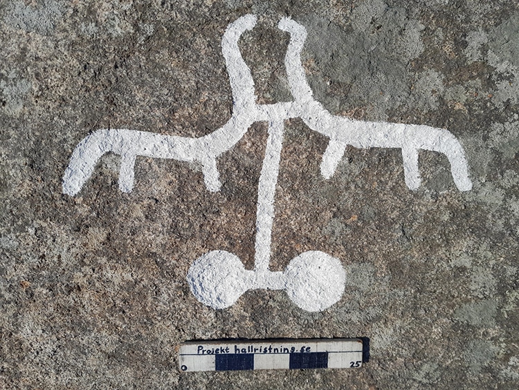 Ancient Swedish Petroglyphs Discovered Under Moss