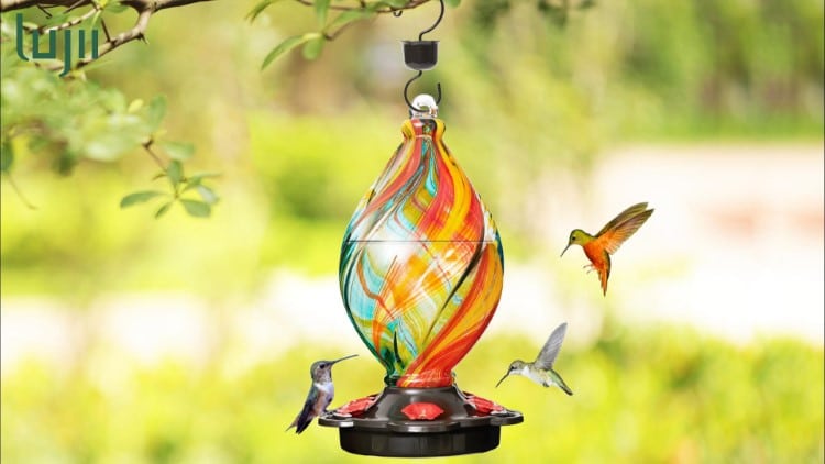 Blown glass hummingbird feeder