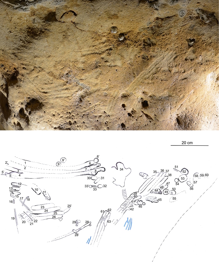 French Caves Contain Oldest Cave Neanderthal Engravings