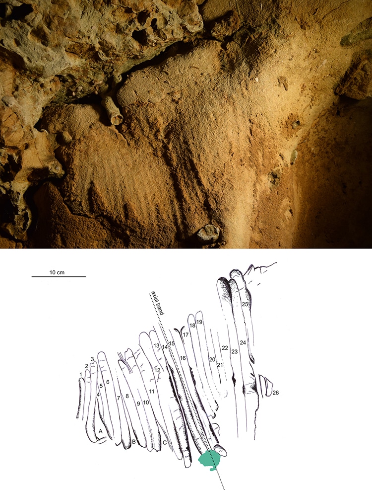 French Caves Contain Oldest Cave Neanderthal Engravings