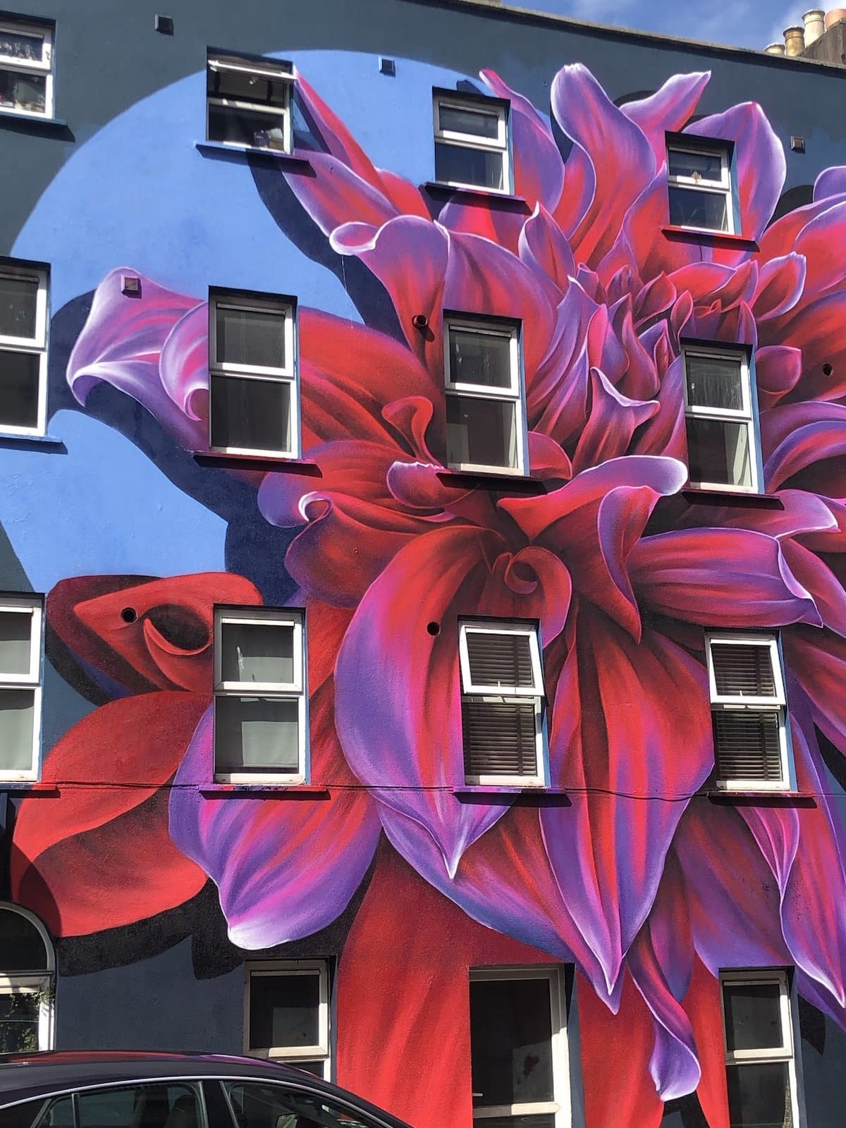 Flower Murals by Sophie Mess