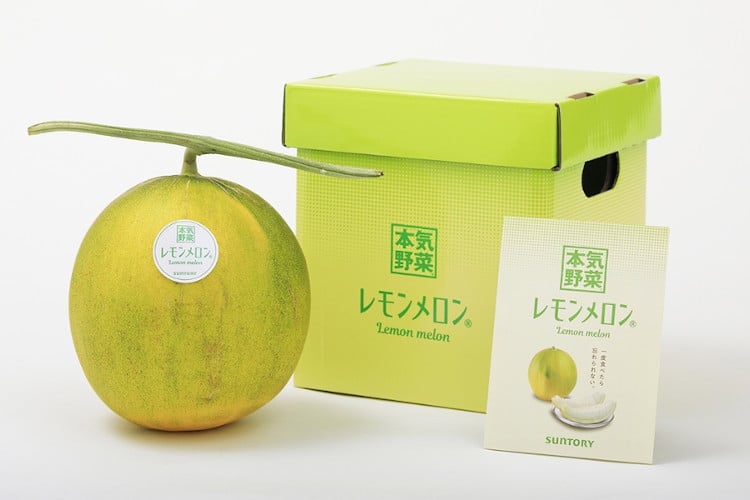 Lemon Melon, a new fruit by Japanese farmers