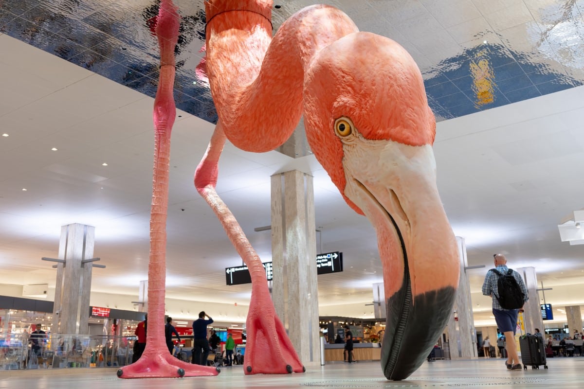 Home - Flamingo Installation at Tampa International Airport by Matthew Mazzotta