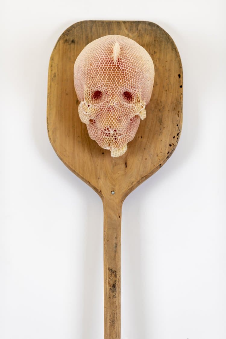 Beeswax Skull Sculpture by Tomas Libertiny