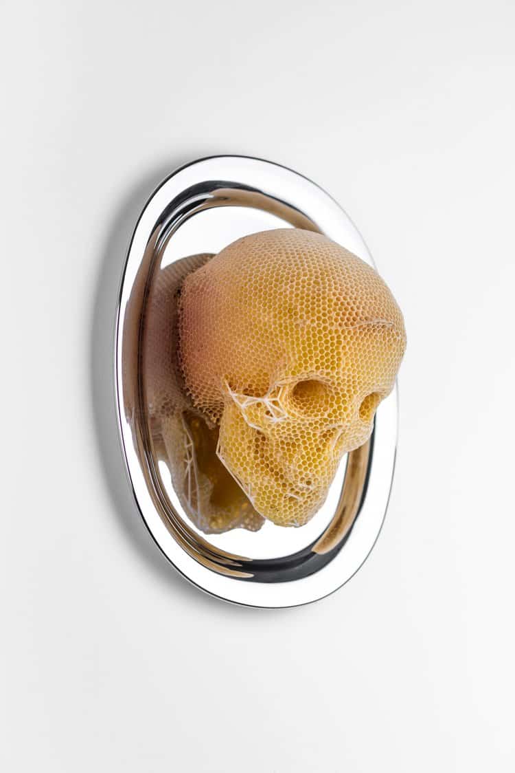 Beeswax Skull on a Platter by Tomas Libertiny