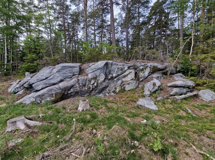 Norwegian Family Discovers Bronze Age Rock Paintings on a Hike
