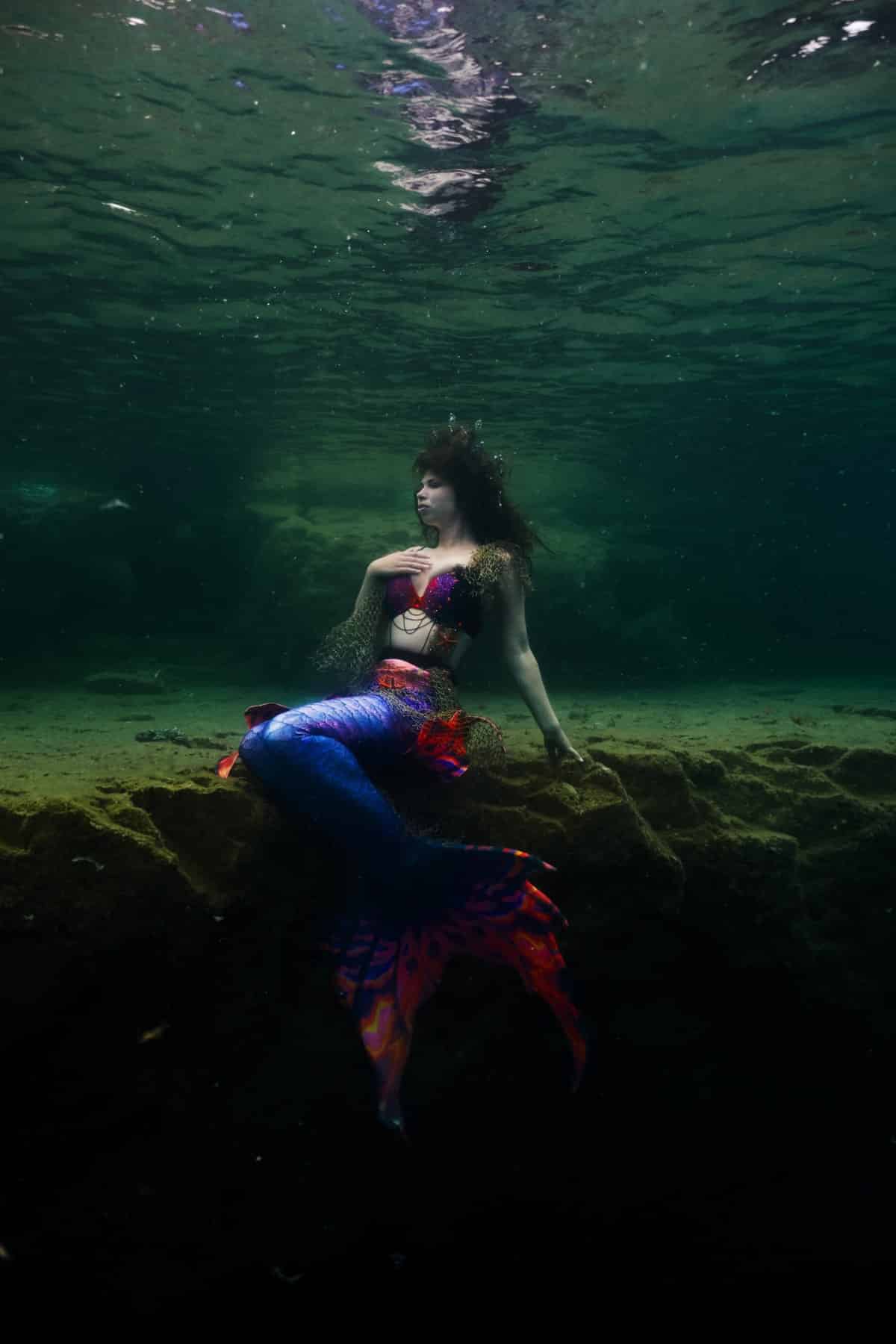 Steve Haining Underwater Photography