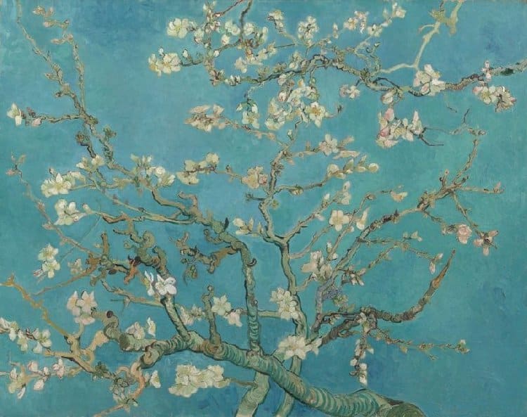 Van Gogh Digitized Collection
