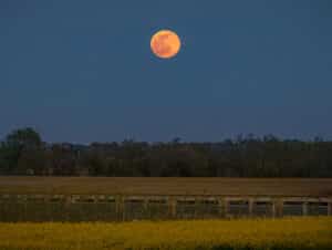 On August 30, Stargazers Have the Chance to See a Rare Blue Supermoon