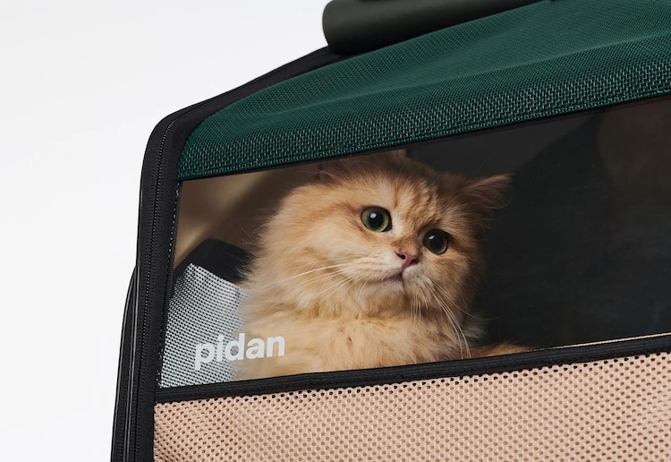 Pidan Traveling Pet Carrier with Habitat Expansion: Take your cat anywhere  safely - The Indiegogo Review