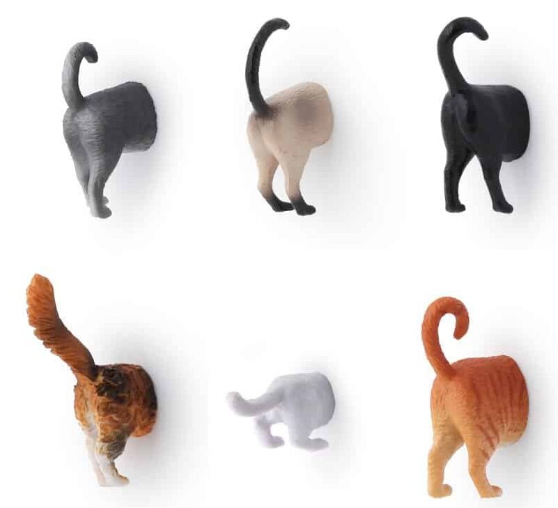 Cat Butt Magnets