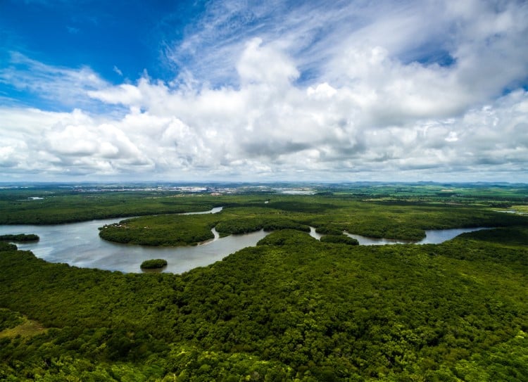 Aerial View of Brazilian