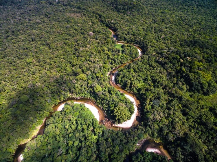 Aerial View of Brazilian