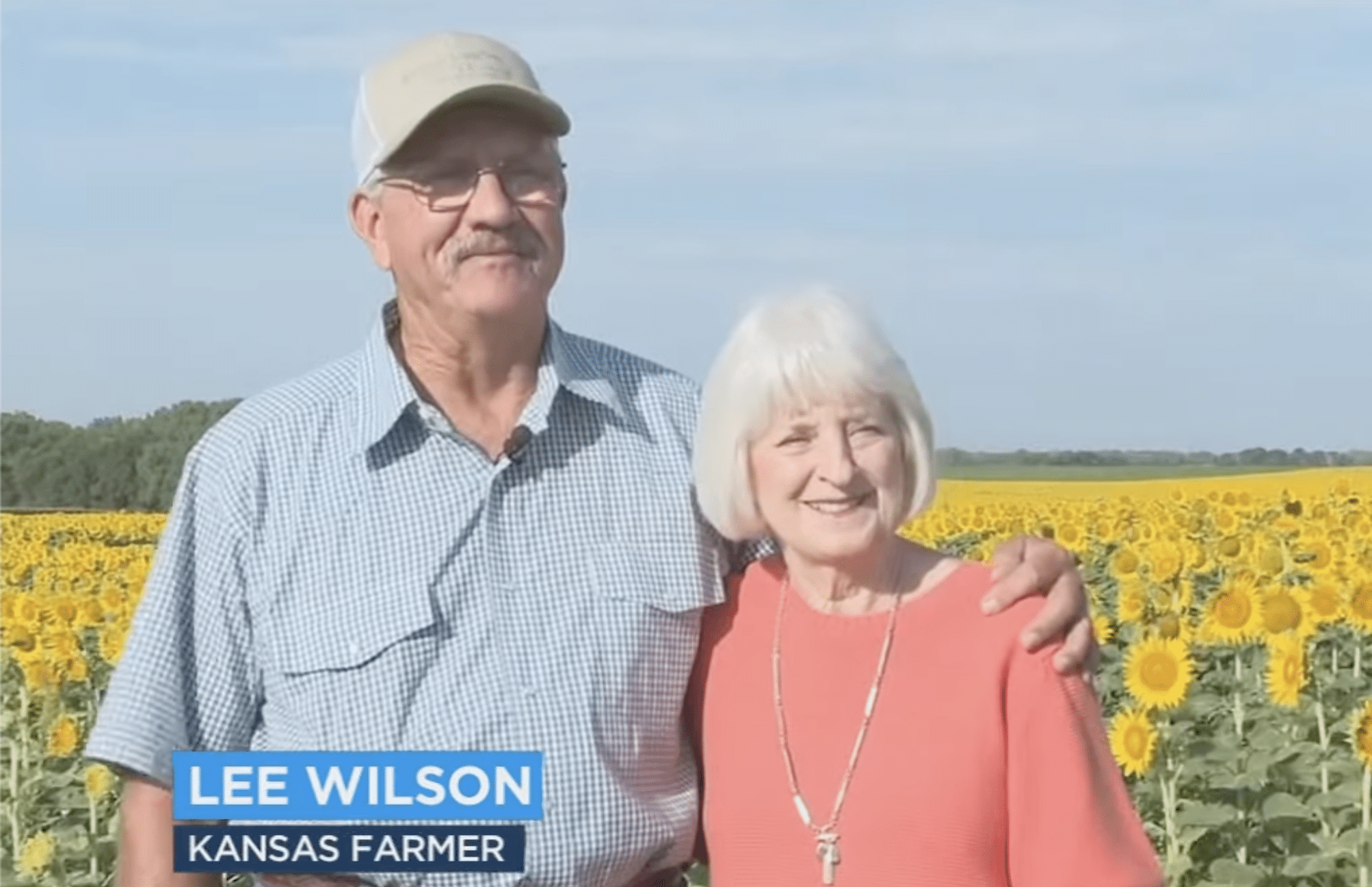 Husband Plants 1 Million Sunflowers for Wife