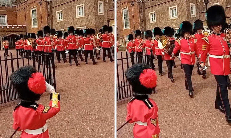 King's Guard Acknowledges Young Boy Dressed as a Soldier