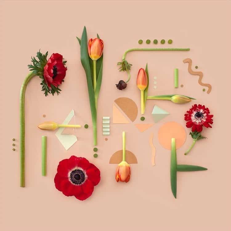 Geometric Flat Lay by Kristen Meyer