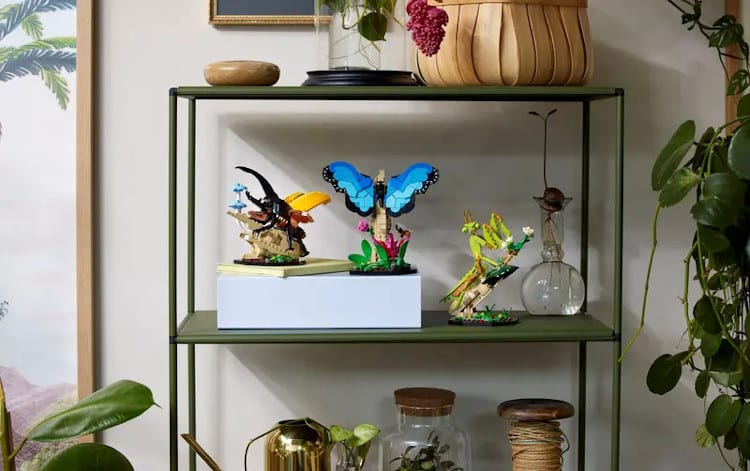 Lego ideas the insect collection displayed on a shelf