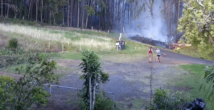 Maui Zookeepers From Animals From Wildfires