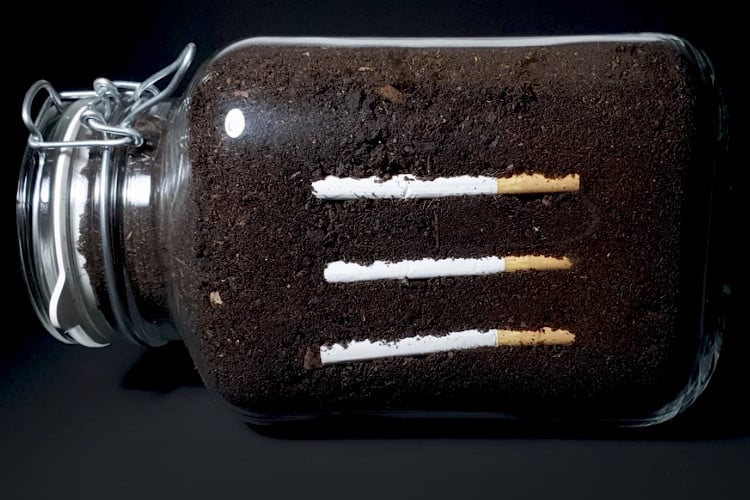 glass jar filled with soil and three cigarettes