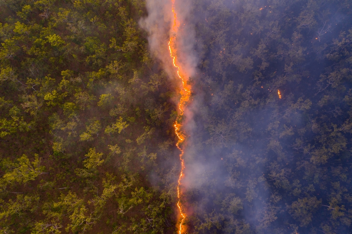 Aerial view of Australian bushfires by Robert Irwin