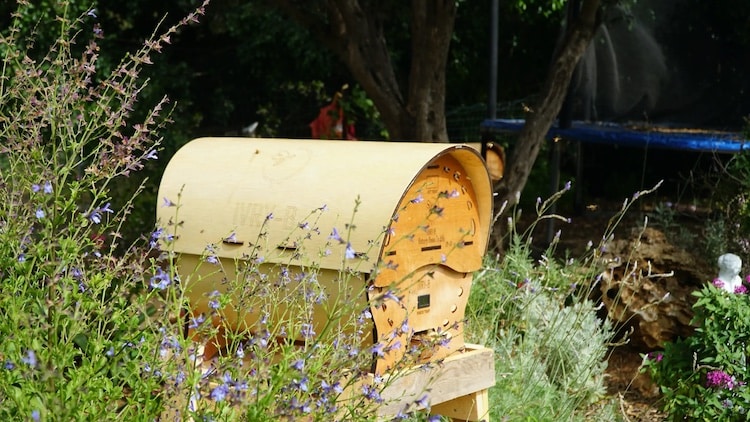 Transparent Beehive by IVRY-B