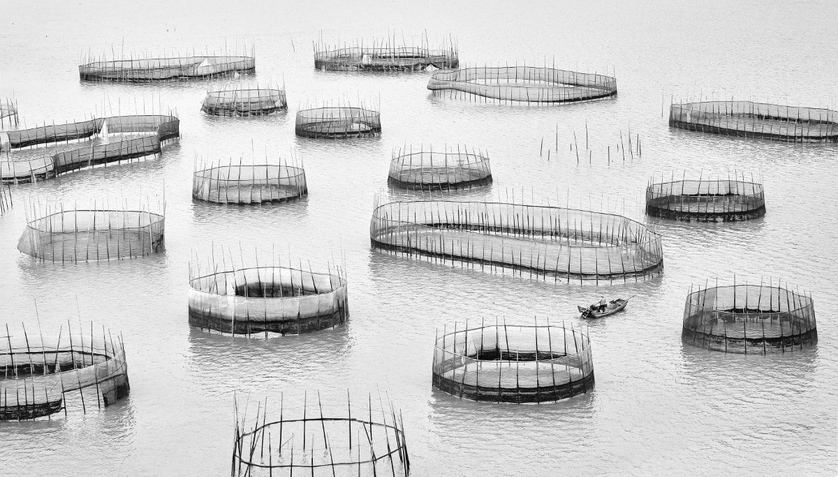 Artisanal fishing fences standing in the water in China