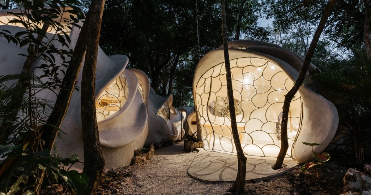 Architecture Firm Builds Organically Shaped Offices in the Heart of the Mayan Jungle