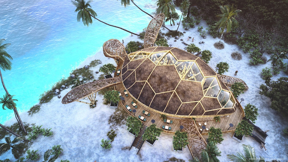 Turtle Restaurant concept