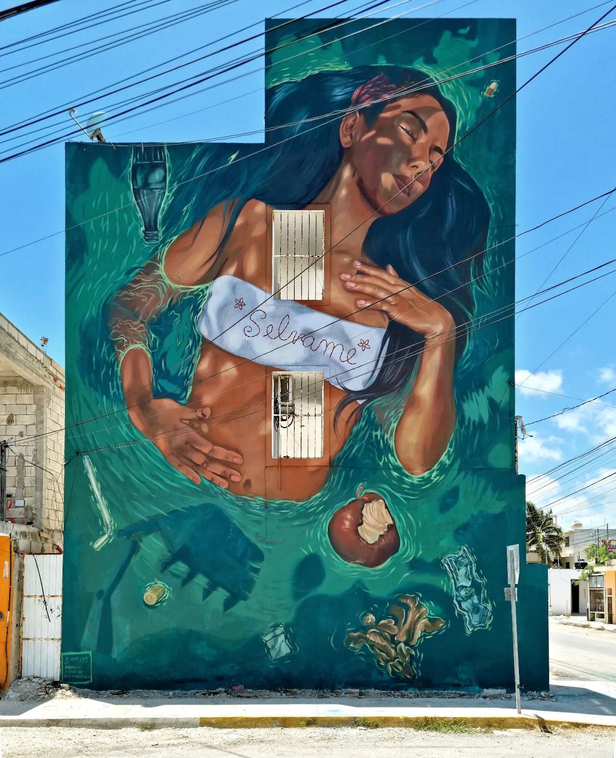 Figurative Murals by Alaniz