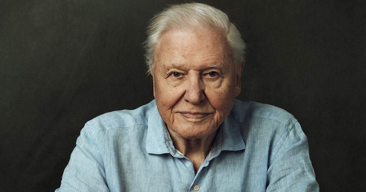 97-Year-Old Sir David Attenborough Will Return to TV for BBC’s ‘Planet Earth III’