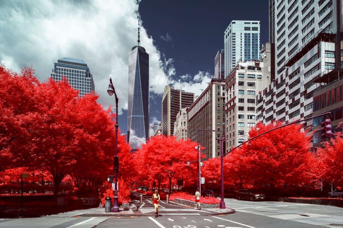 Infrared Photo of Central Park
