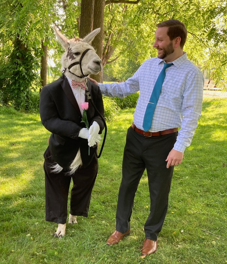 llama wearing tuxedo poses with wedding party guests