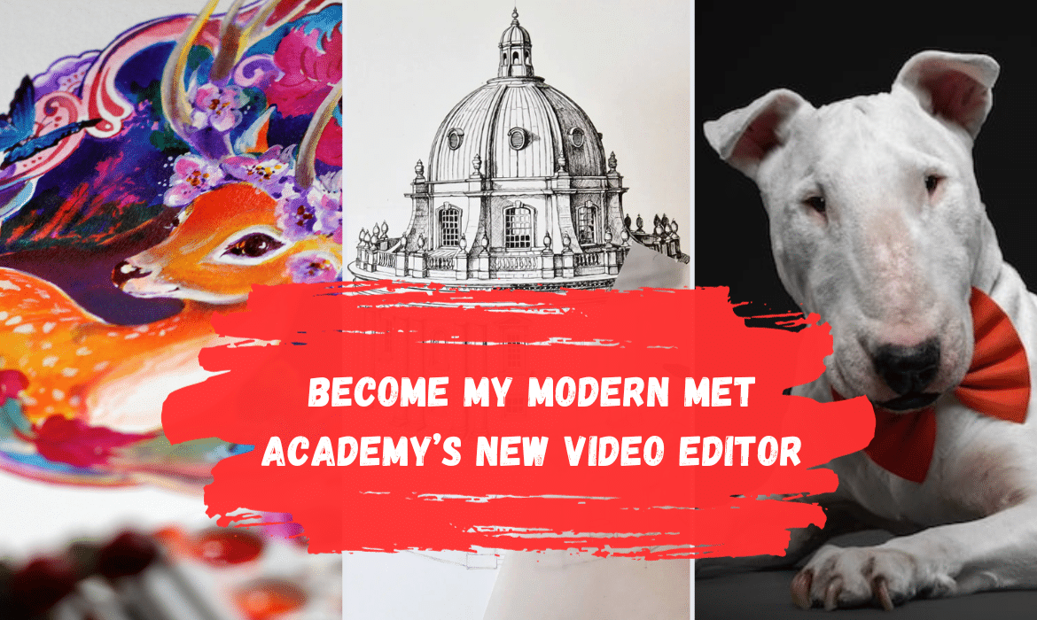 My Modern Met Academy Video Editor Search