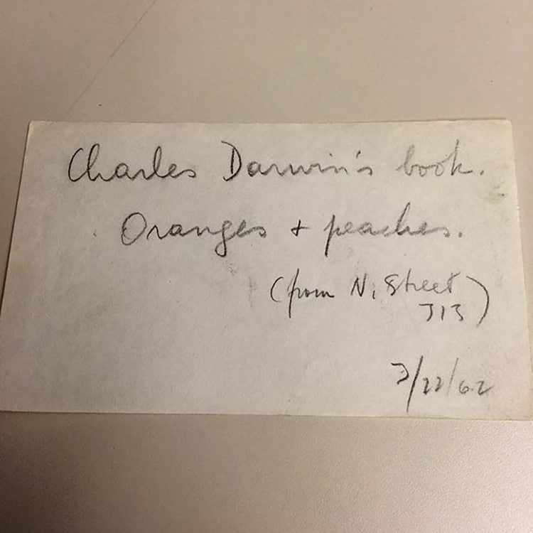 Vintage Questions the Public Once Asked New York Public Library’s Librarians