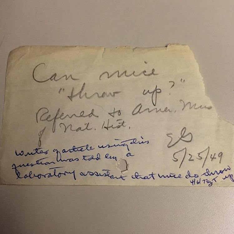 Vintage Questions the Public Once Asked New York Public Library’s Librarians