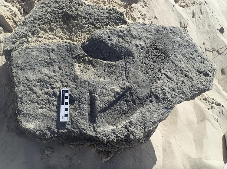 Fossilized Footprints Present Evidence of Earliest Known Shoes