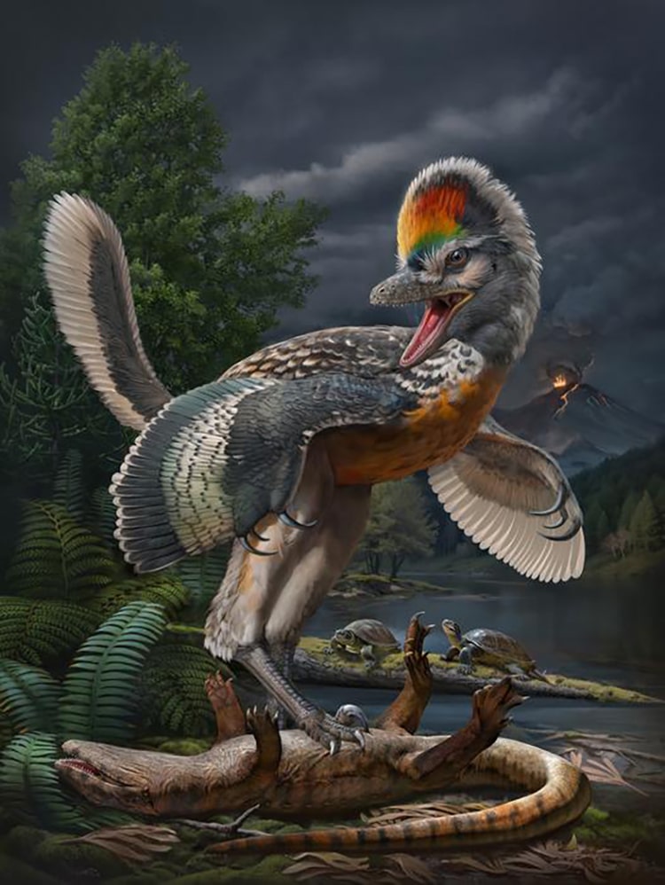 Paleontologists Discover Leggy Jurassic Dinosaur Fossil Connected to Modern Birds