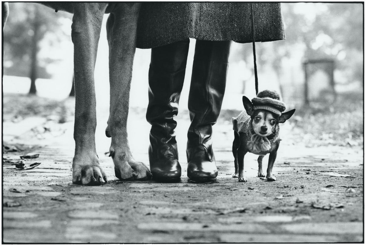 New York Street Photography by Elliott Erwitt